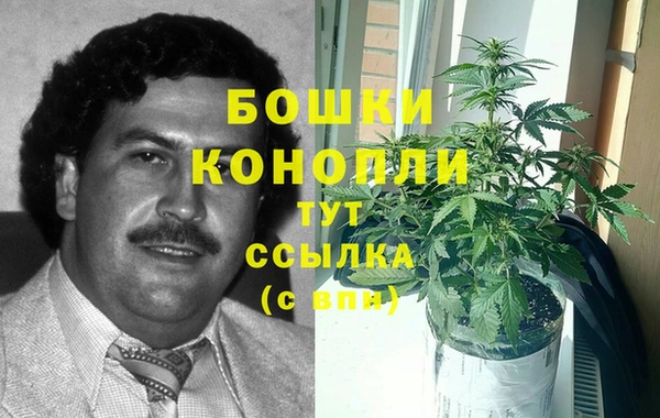 каннабис Дмитриев