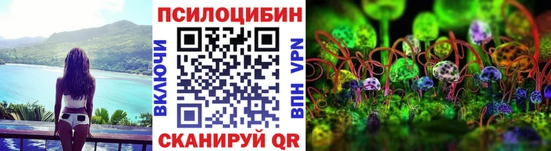 Псилоцибиновые грибы Psilocybe  Купить где  Емва 